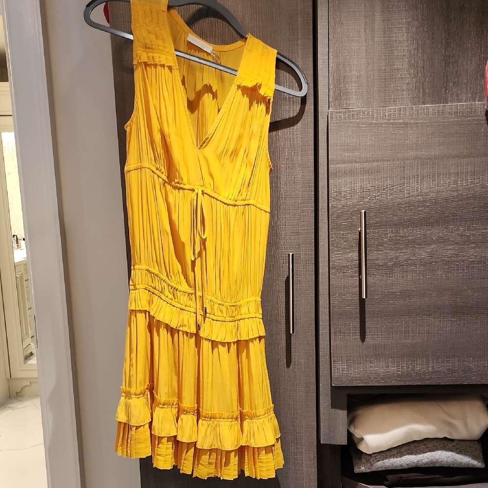 Ramy Brook Golden Pleated Top